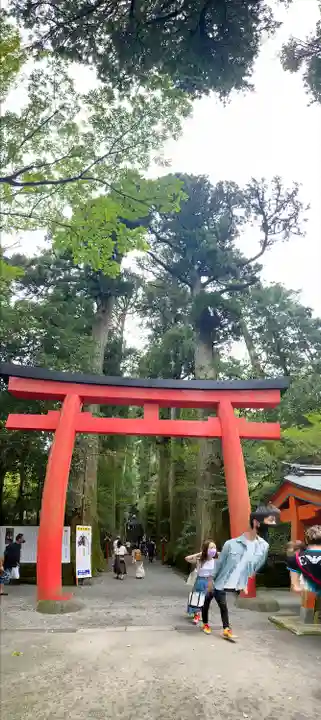 箱根神社(神奈川県)