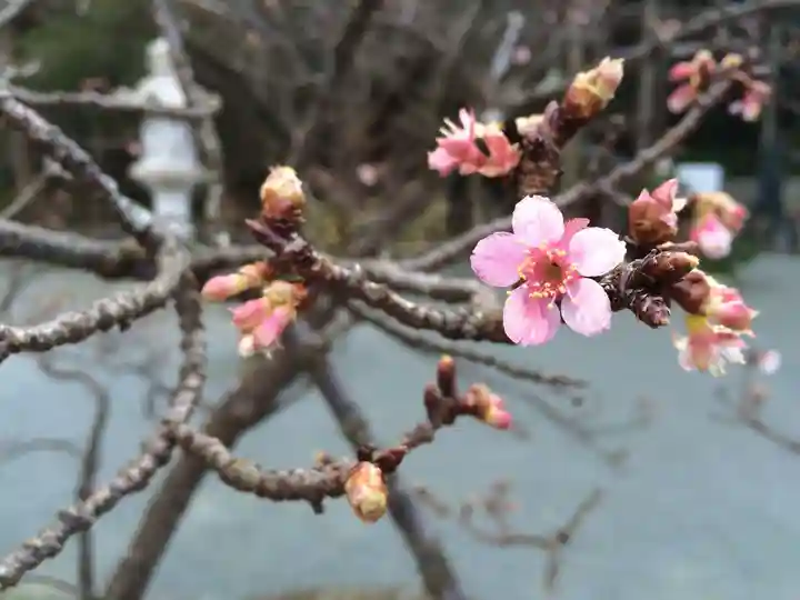 鎮國寺(福岡県)