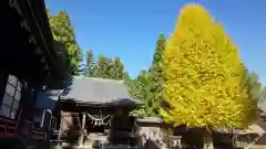 塩竈神社の自然