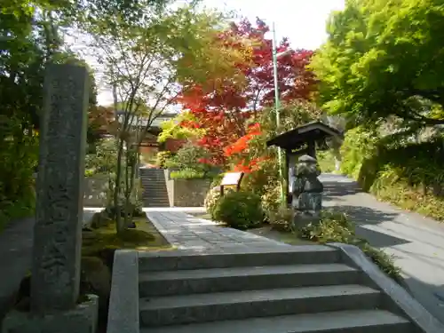 海蔵寺の景色