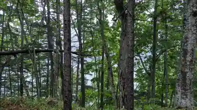 糠平電源神社の自然