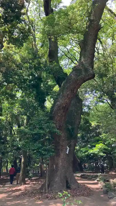 生田神社(兵庫県)