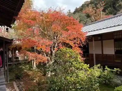 安楽寺(京都府)