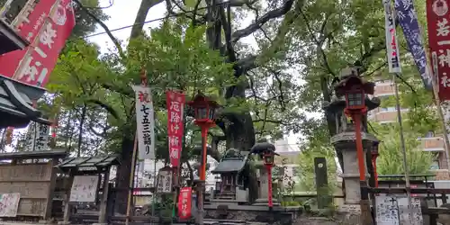 若一神社のその他建物