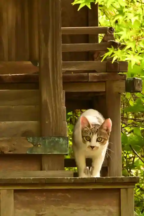 城上神社(島根県)