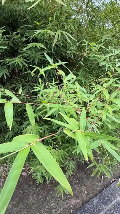 西林寺(愛媛県)