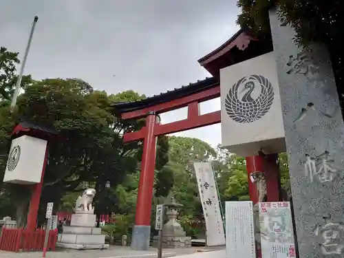 平塚八幡宮の鳥居