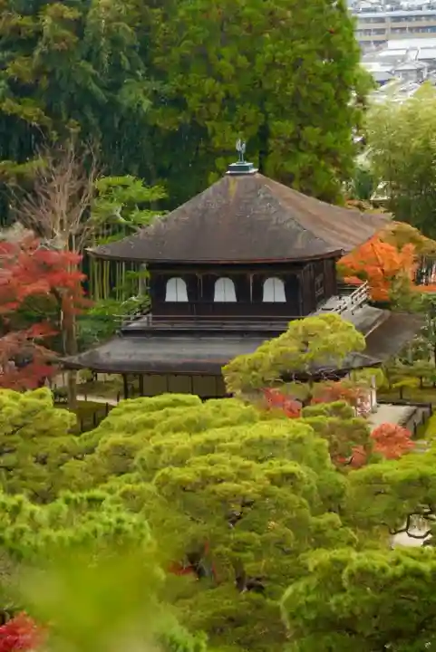 慈照寺(慈照禅寺・銀閣寺)(京都府)