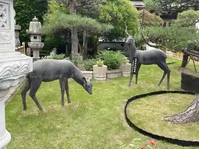 最明寺(埼玉県)