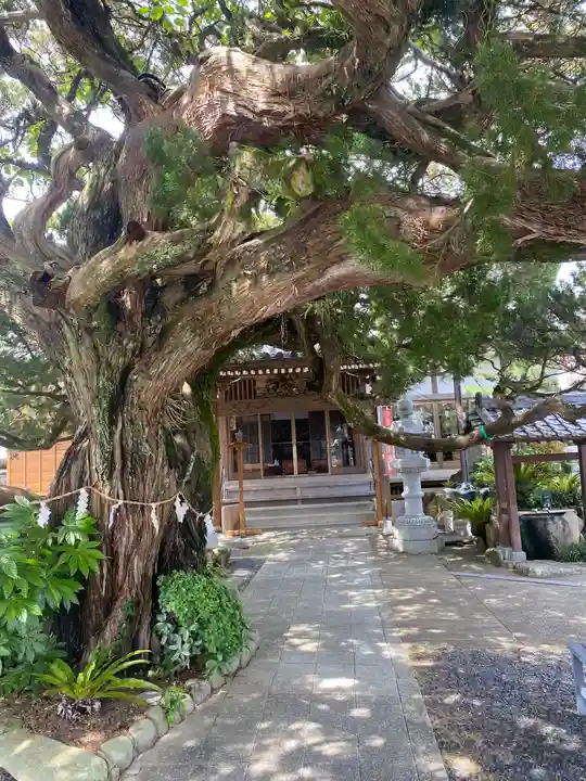 善徳寺(和歌山県)