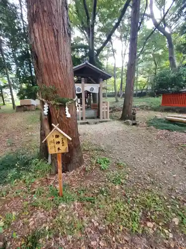 大星神社(長野県)