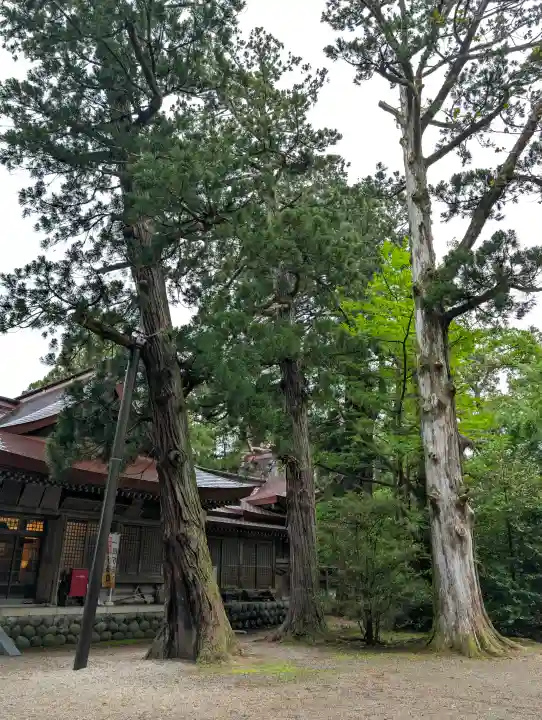越中一宮 髙瀬神社の{uncategorized: "未分類", other: "その他", undefined: "問題あり", building: "その他建物", grave: "お墓", sacred_gate: "鳥居", guardian: "狛犬", statue: "像", buddha: "仏像", history: "歴史", nature: "自然", garden: "庭園", animal: "動物", pagoda: "塔", temizu: "手水舎", mountain_gate: "山門・神門", sanctuary: "本殿・本堂", subordinate: "末社・摂社", art: "芸術", scenery: "景色", jizo: "地蔵", ema: "絵馬", goshuin: "御朱印", omikuji: "おみくじ", items: "授与品その他", amulet: "お守り", goshuincho: "御朱印帳", eats: "食事", festival: "お祭り", votive_dance: "神楽", shichigosan: "七五三参", wedding: "結婚式", experience: "体験その他", initially: "初詣", around: "周辺", anti_infection: "感染症対策"}