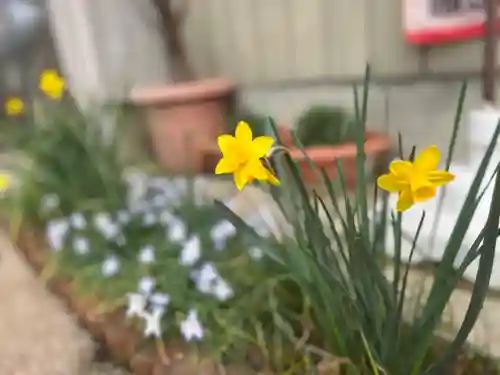 秩父札所十三番 慈眼寺の自然