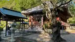 長明寺の本殿