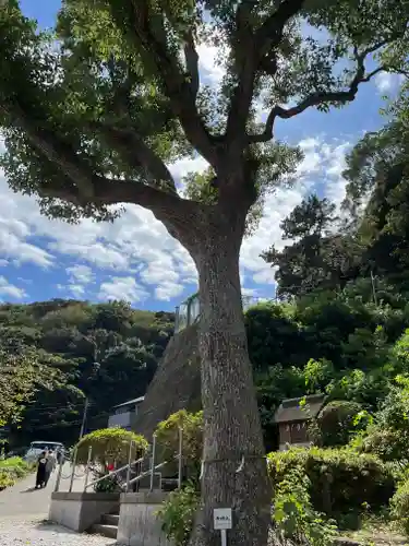 走水神社(神奈川県)