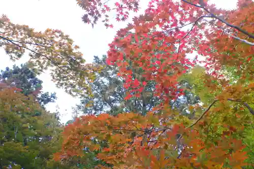 大原野神社(京都府)