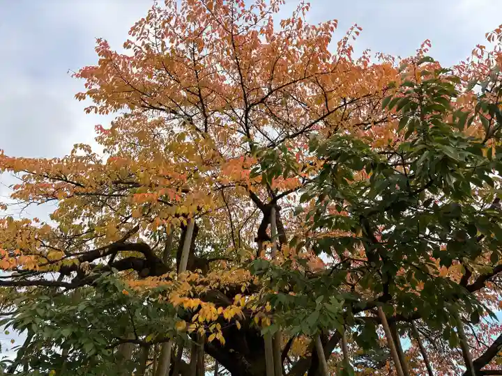 輪王寺(栃木県)