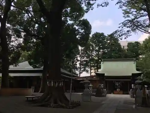 星川杉山神社のその他建物