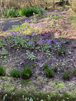 浄智寺(神奈川県)