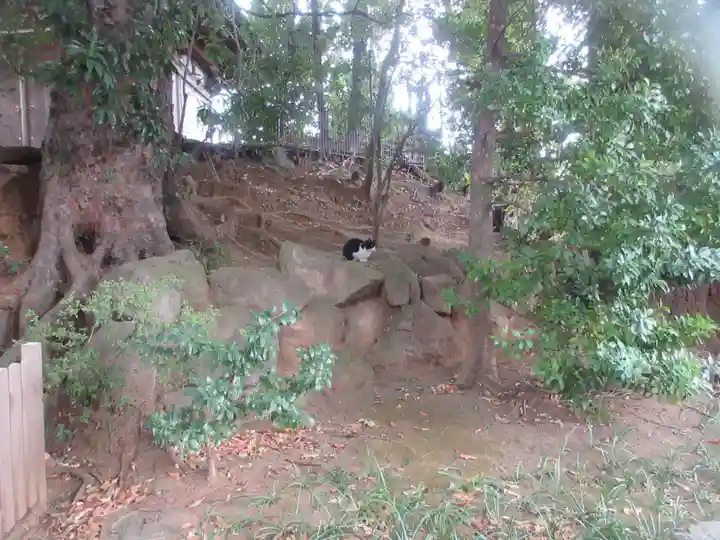 法真寺(東京都)