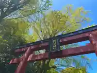 根津神社の鳥居