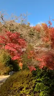 観音寺（山崎聖天）(京都府)