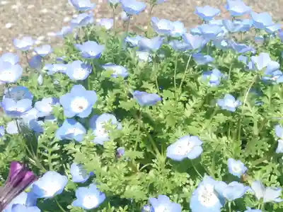 宇都母知神社(神奈川県)