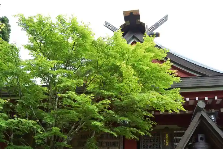 大山阿夫利神社(神奈川県)