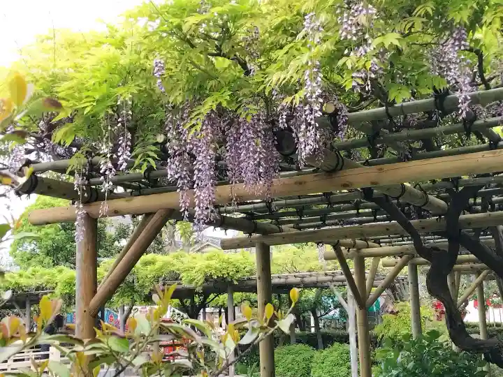 亀戸天神社の{uncategorized: "未分類", other: "その他", undefined: "問題あり", building: "その他建物", grave: "お墓", sacred_gate: "鳥居", guardian: "狛犬", statue: "像", buddha: "仏像", history: "歴史", nature: "自然", garden: "庭園", animal: "動物", pagoda: "塔", temizu: "手水舎", mountain_gate: "山門・神門", sanctuary: "本殿・本堂", subordinate: "末社・摂社", art: "芸術", scenery: "景色", jizo: "地蔵", ema: "絵馬", goshuin: "御朱印", omikuji: "おみくじ", items: "授与品その他", amulet: "お守り", goshuincho: "御朱印帳", eats: "食事", festival: "お祭り", votive_dance: "神楽", shichigosan: "七五三参", wedding: "結婚式", experience: "体験その他", initially: "初詣", around: "周辺", anti_infection: "感染症対策"}