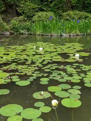 平安神宮(京都府)