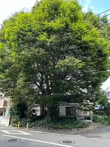 小野神社(東京都)
