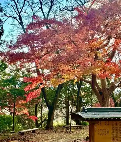 蚊里田八幡宮(長野県)