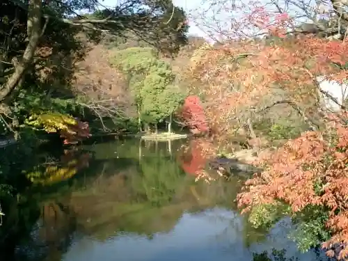 鶴岡八幡宮の庭園