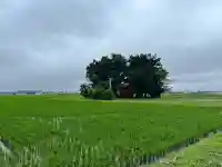 南宮神社(宮城県)
