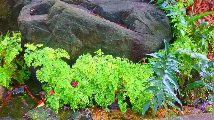 馬橋稲荷神社のその他建物