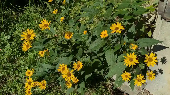 滝の不動尊の自然