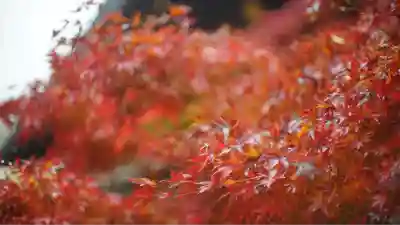 北野天満宮(京都府)