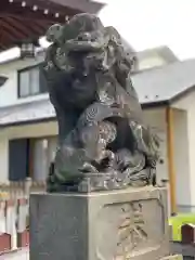 鵜ノ木八幡神社の狛犬