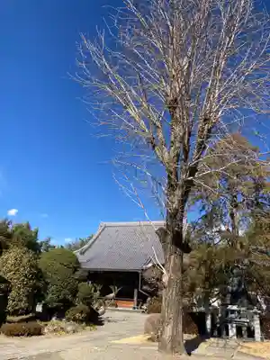 東光院(神奈川県)