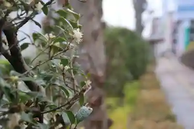 愛宕神社の周辺