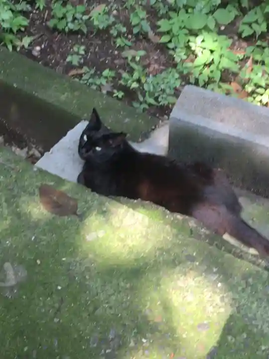 澤蔵司稲荷(慈眼院)の動物