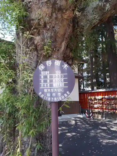 榴岡天満宮の自然