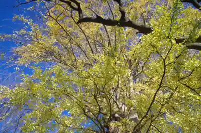 白滝不動尊の自然