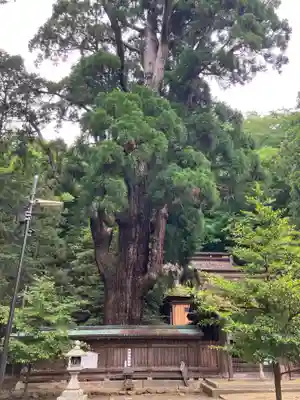 若狭姫神社（若狭彦神社下社）(福井県)