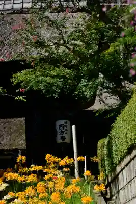 横浜　西方寺(神奈川県)