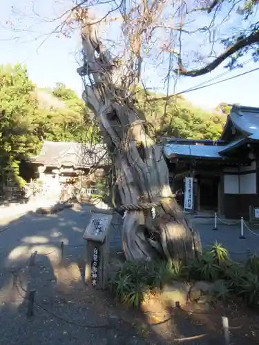 伊古奈比咩命神社のその他建物