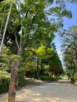 黒髪神社(佐賀県)