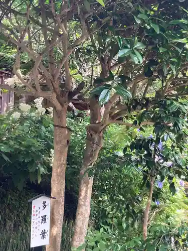 佛日庵(神奈川県)