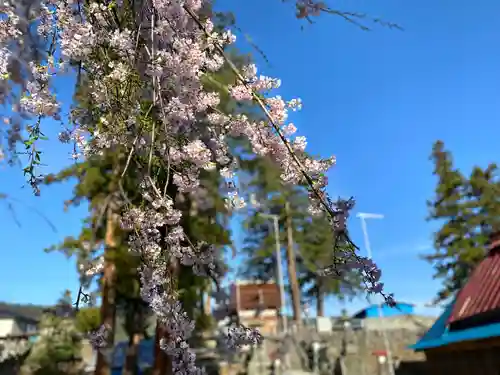 古町豊受大神宮の自然