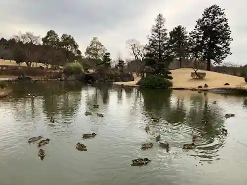 東本願寺本廟 牛久浄苑（牛久大仏）(茨城県)